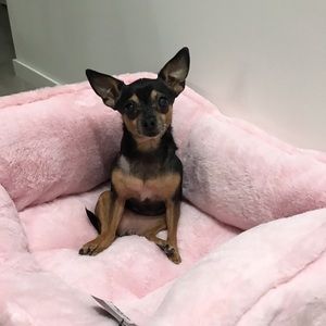 Meet your Posher, An